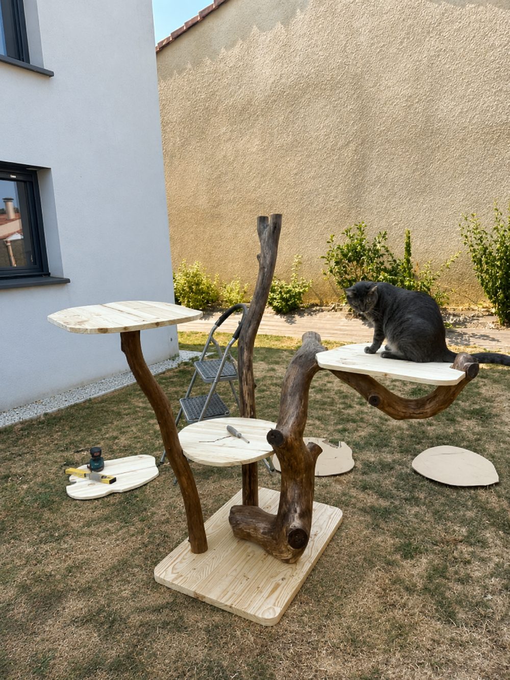 Arbre à chat en bois naturel en cours de montage