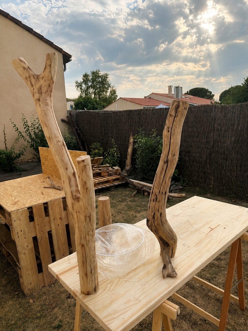 Sélection de troncs naturels pour la fabrication d'un arbre à chat