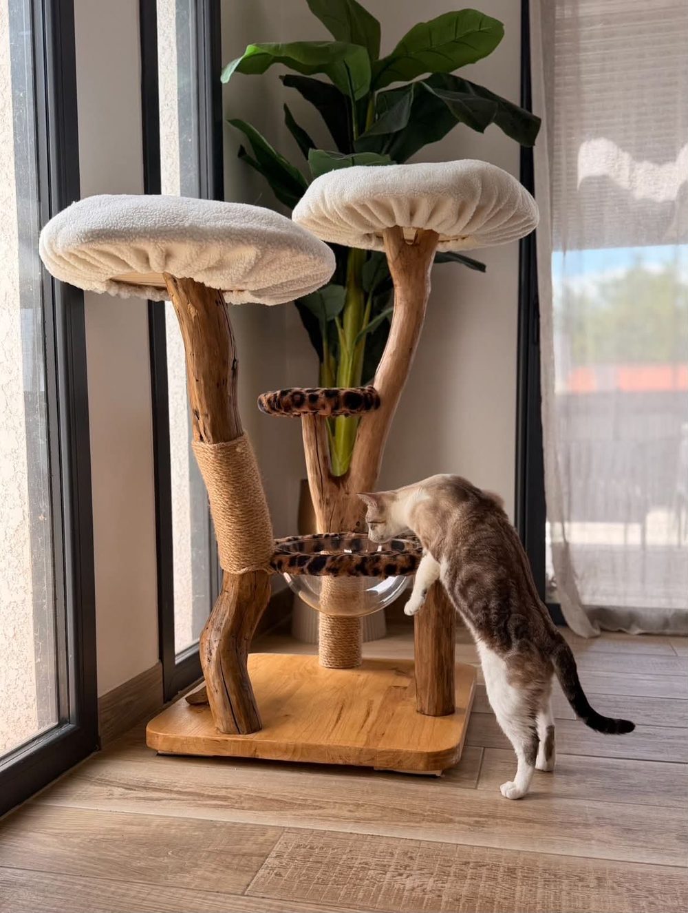 Patcha, création La Maison de Nës — photo 2